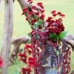 高級造花の画像