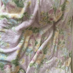 西川の毛布の画像