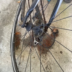 ピナレロロードバイクですの画像