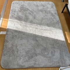 ニトリラグの画像