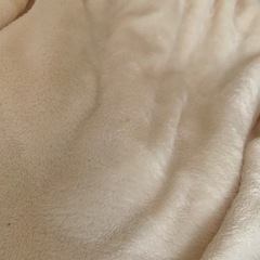 シーツ 秋冬 あたたかい ボックスシーツ シングルの画像