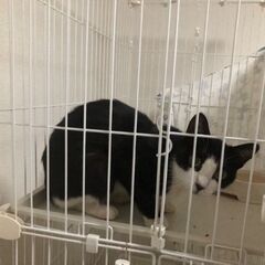 【11月9日(日曜日)　🌟久留米市野中町ログハウス🌟🌟久留米市青...