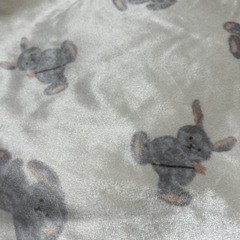 バースデイ　フタフタ　ブランケット(小)の画像