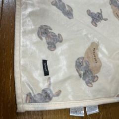 バースデイ　フタフタ　ブランケット(小)の画像