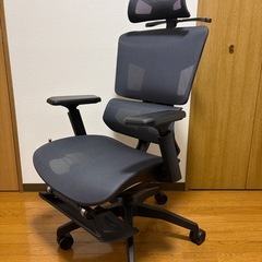 Growspica Pro オフィスチェアの画像