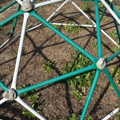 ジャングルジムの画像