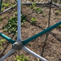 ジャングルジムの画像