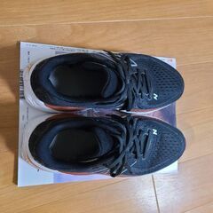 fresh foam x 860　new balance　v13　25cmの画像