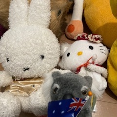 ぬいぐるみの画像