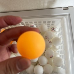 【100球】中華製卓球ボールの画像