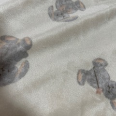 バースデイ　フタフタ　ブランケット(大)の画像