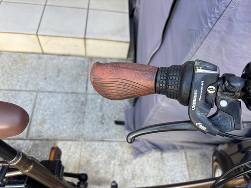 電動アシスト自転車