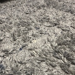 新品　ニトリ　タフトカーペット　グレー　130×190の画像