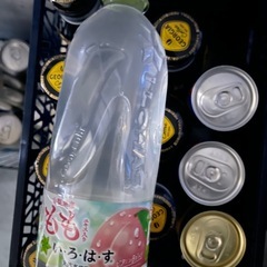 コーヒー10本、いろはすもも1本の画像