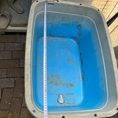 ブルーおけの画像