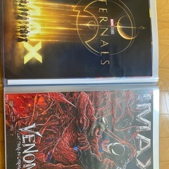 【非売品】IMAXポスター【映画】の画像