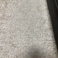 ラグ　絨毯　ベージュの画像