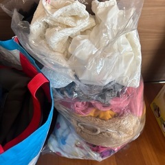 子供服と婦人服の画像