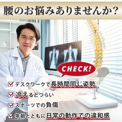 腰サポーター 腰ベルトの画像