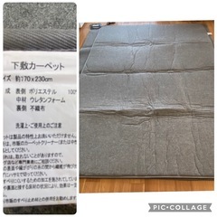 KODEN 電気カーペット3畳用 、下敷き、上敷きセットCWC-3001の画像