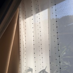 レースカーテン　2枚（1セットかっこ）の画像