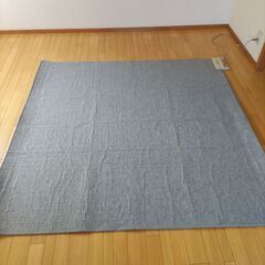 2畳ホットカーペットの画像