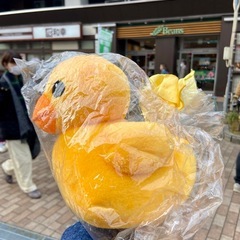 アヒル ぬいぐるみ 黄色 かわいい マスコット 未使用の画像