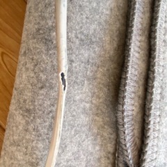 SANYO ホットカーペット2畳用SYC-CG20E の画像