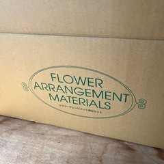 オアシスの画像