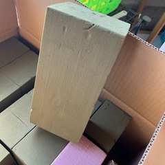 オアシスの画像