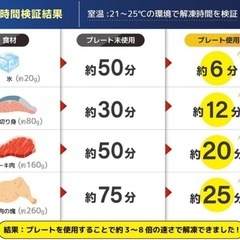 ハイスピード解凍プレート Mサイズ IB-273 3枚セットの画像