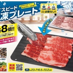 ハイスピード解凍プレート Mサイズ IB-273 3枚セットの画像