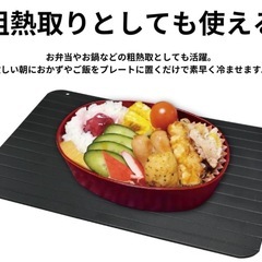 ハイスピード解凍プレート Mサイズ IB-273 3枚セットの画像