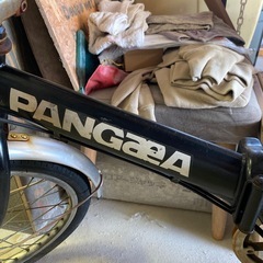 PANGAEA折り畳み自転車 20インチの画像