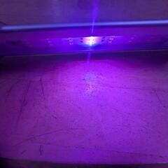 テトラ　水槽用照明　30〜45cmの画像