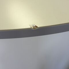 T-030 リサイクル品 ALPS コーナーカウンター W550xD550xH890mmの画像