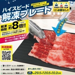 ハイスピード解凍プレート Lサイズ IB-274 3枚セットの画像