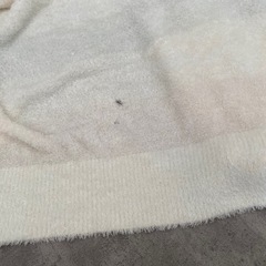 ジェラートピケ gelato pique 上下セット ルームウェア の画像