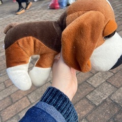 THE DOG ザドッグ ぬいぐるみ ビーグルの画像