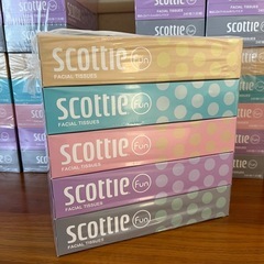 箱ティッシュ　5箱×12パック（計60箱）セットの画像