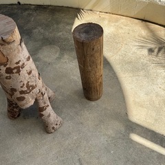 木のインテリアの画像