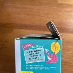 知母時　CHIBOJI 新品未開封の画像