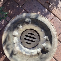 シチリンの画像