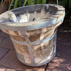 シチリンの画像