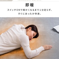 1畳用カーペット本体 ダークグレー の画像