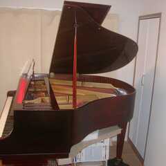 1937年ドイツ製　FEURICH Baby Grand Piano 135cm　直接引き取りの画像