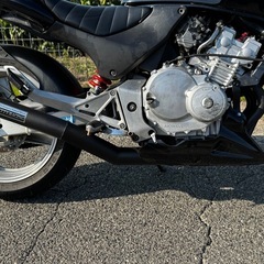 ホーネット250中古車の画像