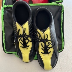 ボウリングの球とシューズ（収納ケース付）の画像