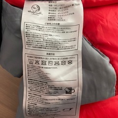 ジュニアシュラフの画像