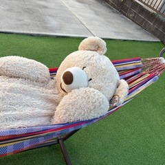 ハンモックの画像